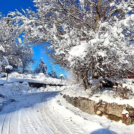 Alpenblick بيت للعطل