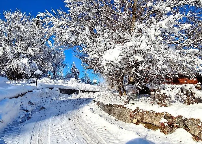 Alpenblick Ferienhaus